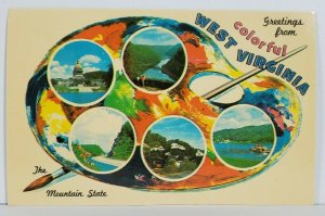 West Virginia Paint Palette Greetings Postcard N2