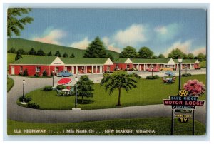 c1950s Blue Ridge Motor Lodge US Highway 11 New Market Virginia VA Postcard