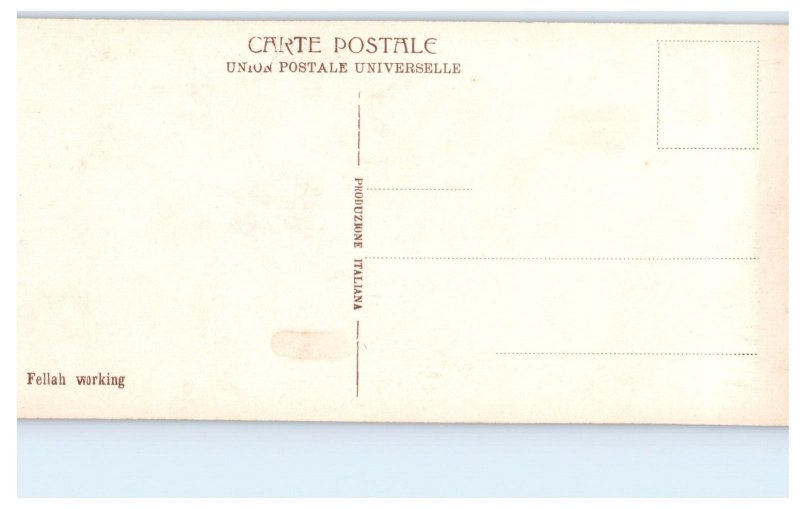 Fellah Working Egypt Postcard
