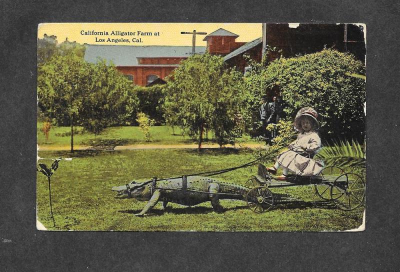 1914 Postcard Alligator World's Panama Pacific EXPO Cancel 