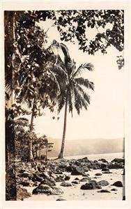 RPPC Cocoanut Palms, Tutuila, Samoa Palm Trees c1910s Vintage Postcard