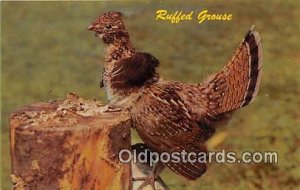 Partridge Ruffed Grouse Unused 