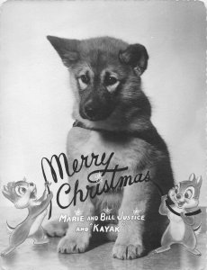 Bob Plunkett Christmas Card For Bill Justice Chip & Dale Disney Chipmunks Dog