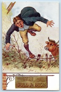 Comic Postcard The Bull & Bush Man c1910's Unposted Antique