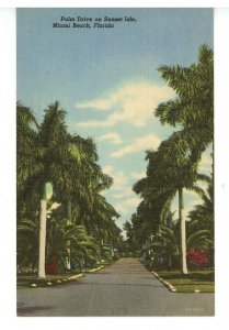 FL - Miami Beach. Palm Drive on Sunset Isle