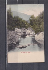 SOUTH AFRICA, NATAL, A CREEK, 1917 ppc., unused.