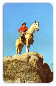 A Cowboy And His Palomino Horse Postcard