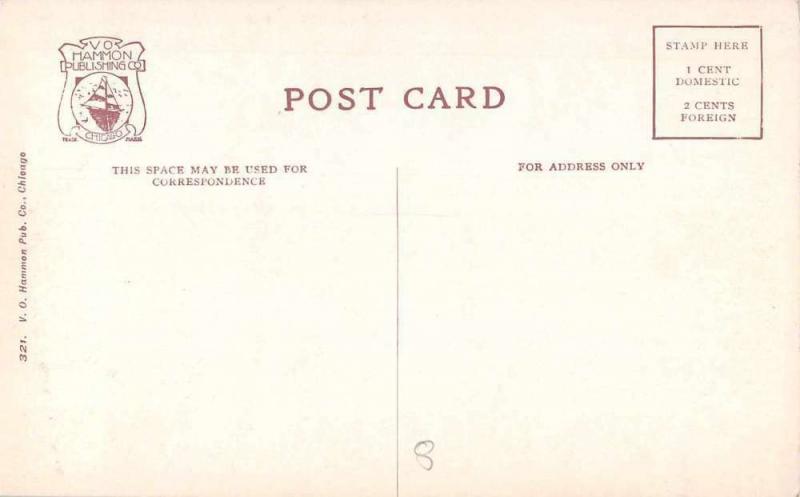 Aurora Illinois Fox Street Antique Postcard J47209