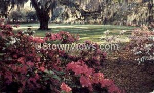 Airlie Gardens - Wilmington, North Carolina NC  