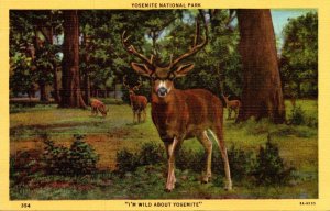 California Yosemite National Park Scene With Deer Curteich