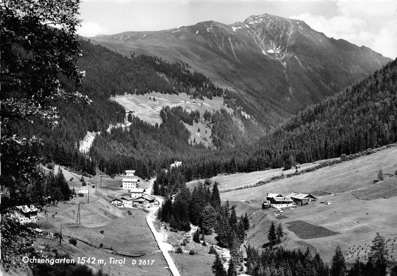 BG2974 ochsengarten  tirol   CPSM 14x9.5cm austria