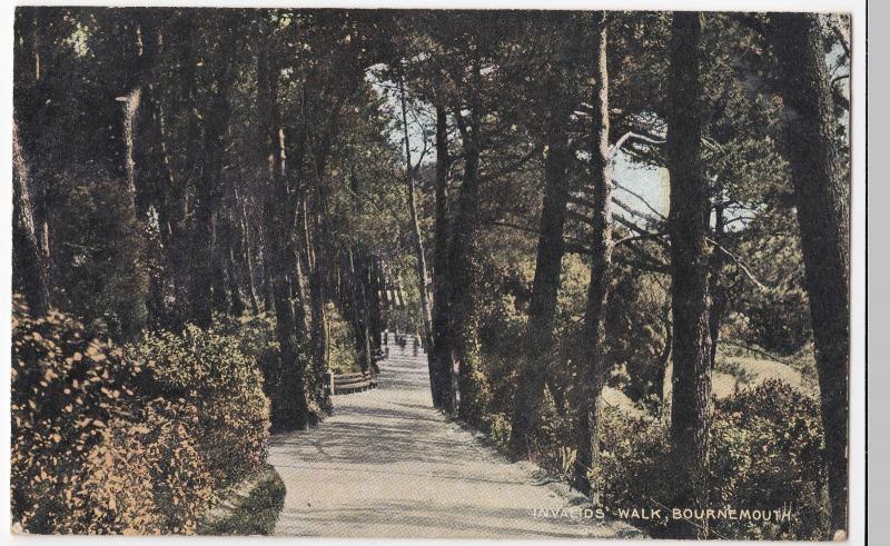 Dorset; Invalids Walk, Bournemouth PPC From National Series, Unposted, c 1910's