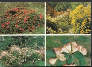 Herefordshire Postcard - Hergost Croft Gardens, Kington  WC148