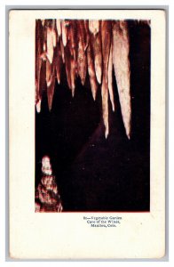 Postcard CO Vegetable Garden Cave Of The Winds Manitou Colorado Embossed Card