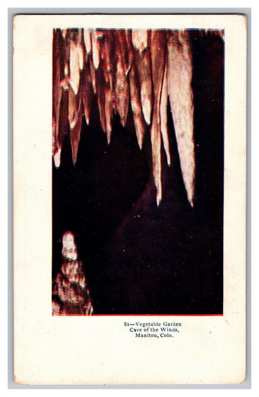 Postcard CO Vegetable Garden Cave Of The Winds Manitou Colorado Embossed Card 