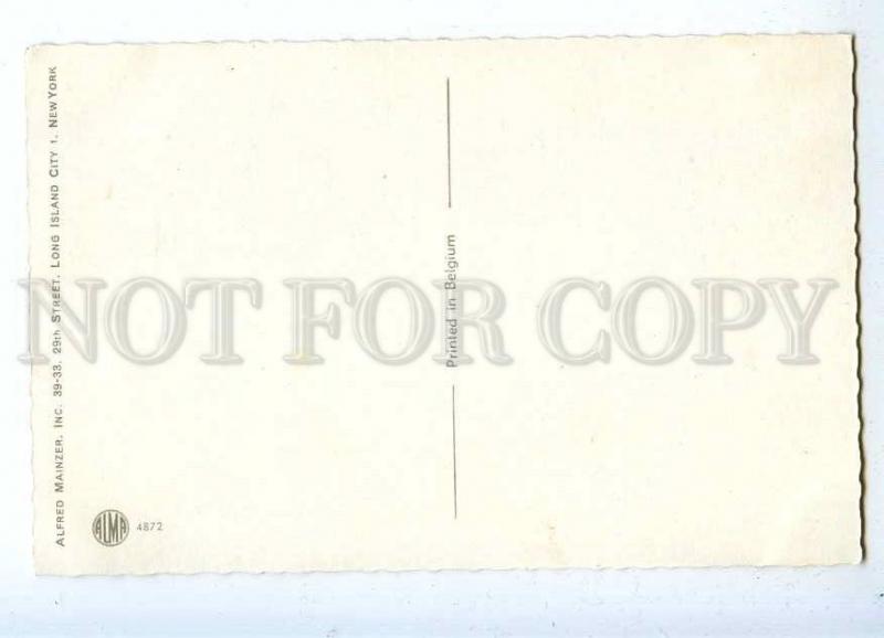 187264 Dressed CAT Puss DENTIST by MAINZER Vintage PC