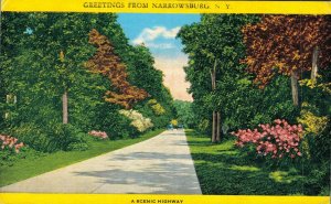 USA Greetings from Narrowsburg NY A Scenic Highway Vintage Postcard 07.36