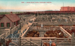 Vintage Postcard Union Stockyards Cattle Production Farm Racing Portland Oregon