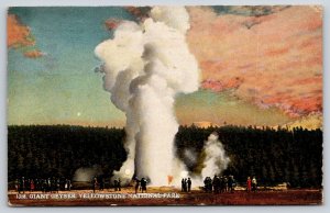 Wyoming~Yellowstone Natl Park~Giant Geyser Eruption Scene~Sunset~1926 Postcard