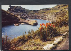 Cornwall Postcard - View of Boscastle Harbour   RR4720