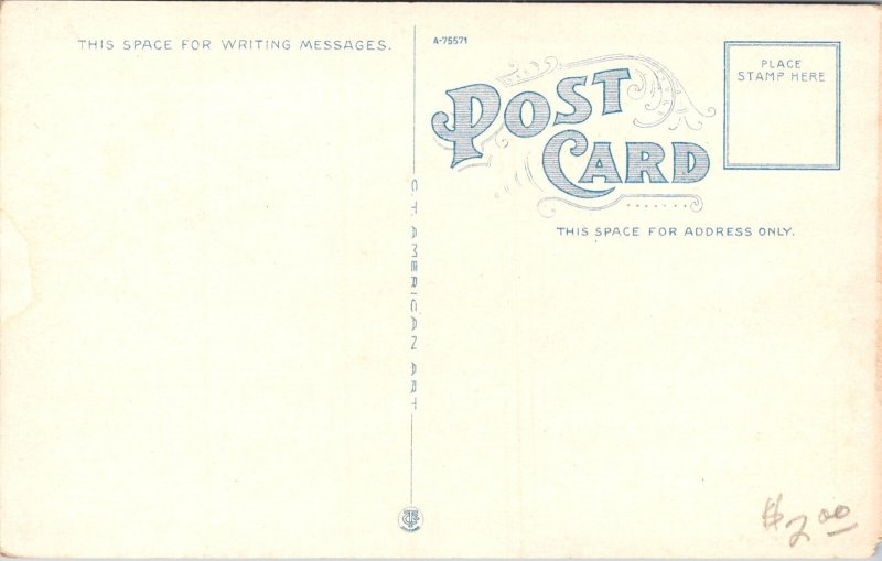 Carnegie Library, Manhattan KS Vintage Postcard P36