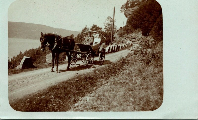 Vtg Carte Postale Cppr 1900s Richel & Ses Cheval Rhubarbe - Horsedrawn Carrosse