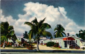 Postcard FL Key West Hibiscus Motel Simonton Street Palm Trees LINEN 1951 S41