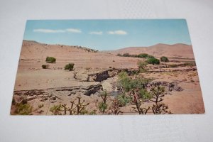 State Highway No. 83, Lincoln National Forest, Cloudcroft, New Mexico Postcard