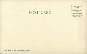 White Horse Yuok Territory General View c1905 Albertype Postcard