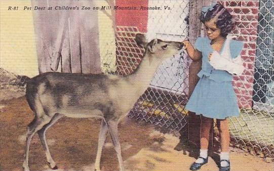 Pet Deer At Children's Zoo On Mill Mountain Roanoke Virginia