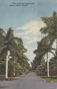 Florida Miami Beach Palm Drive On Sunset Isle 1953 Curteich