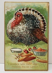 Thanksgiving Embossed Fat Turkey Tuck Series 162 Postcard B12