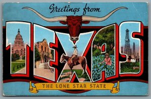 Postcatd Texac1940s Greetings From Texas The Lone Star State Large Letter Cattle