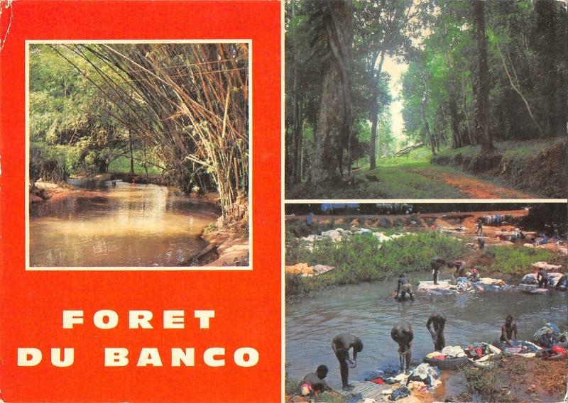 BT2362 Cote d Ivoire Foret de Banco   Ivory Coast