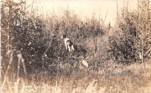 Tree Scene with Dog - Rapid River, Michigan MI  