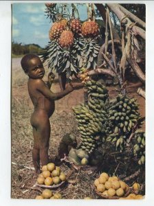 464519 French Africa nude child boy near fruit Old postcard