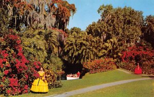 Colorful Flowers and Tropical Plants  Cypress Gardens FL