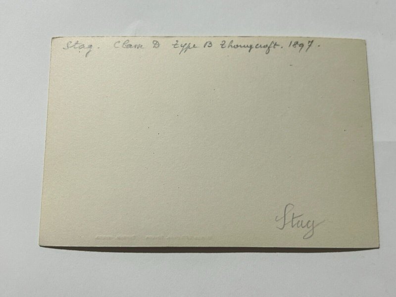 HMS Stag Frigate Royal Navy Destroyer British WWI Photo