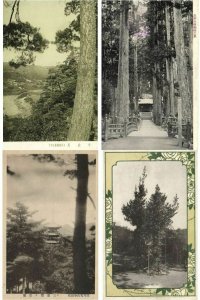 JAPAN JAPON ASIE ASIA TREES 150 CPA Pre-1950 (L2402)