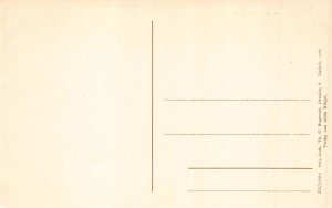 Germany Saechs Schweiz Ober-Rathen View from Felsenburg vintage postcard