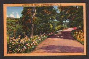 NY Greetings from MIDDLEBURGH NEW YORK Linen Postcard