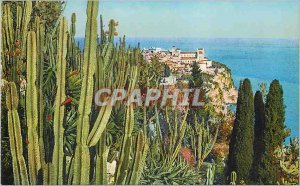 Old Postcard Jardin Exotique de Monaco View of the Rock of Monaco Cereus and ...