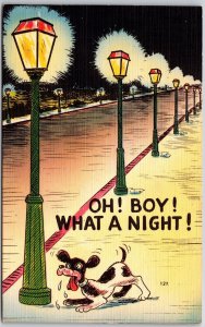 Dog Barks On Light Post Oh Boy, What A Night Comic Card Postcard