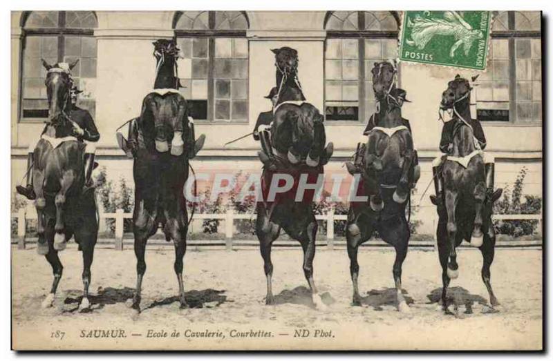 Old Postcard Saumur Cavalry School bowing (jumper horse racing)