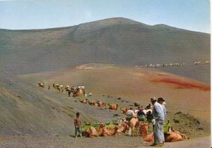 Spain Postcard - Canary Islands - Lanzarote - La Isla De Los Volcanes Ref 20581A