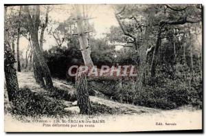 Old Postcard St Trojan Les Bains Pins Deformes By The Winds Ile d & # 39Oleron
