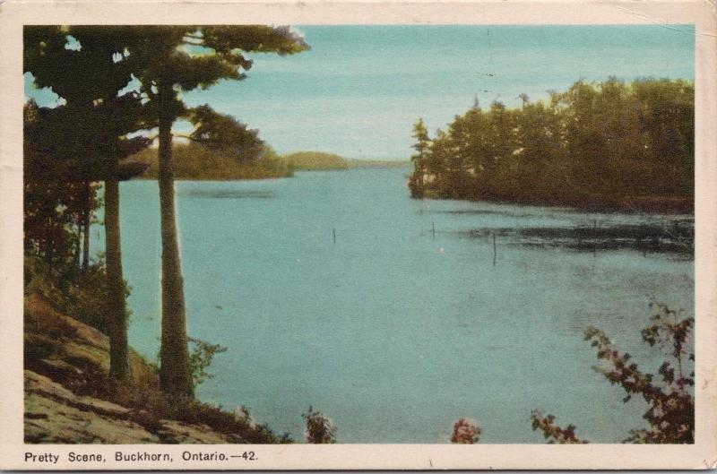 Pretty Scene Buckhorn ON Ontario Peterborough County c1948 Vintage Postcard D47