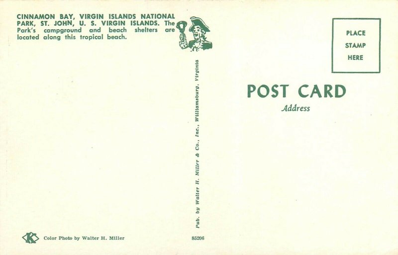 Cinnamon Bay St Johns US Virgin Islands Postcard