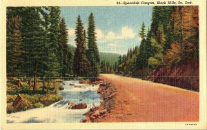 Spearfish Canyon Black Hills South Dakota Vintage Standard View Postcard