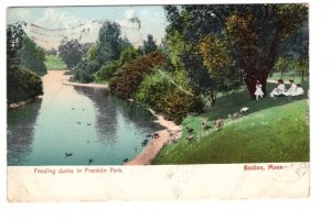 Feeding Ducks, Franklin Park, Boston Massachusetts, Used 1907 Flag Cancel